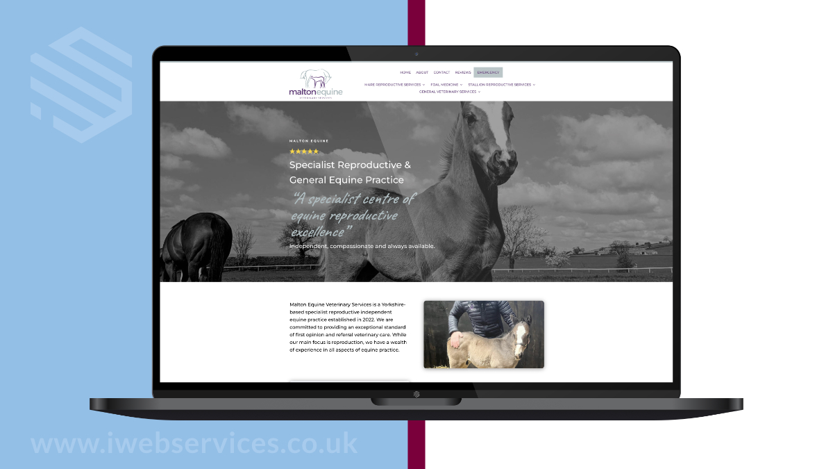 Equine Vet Website