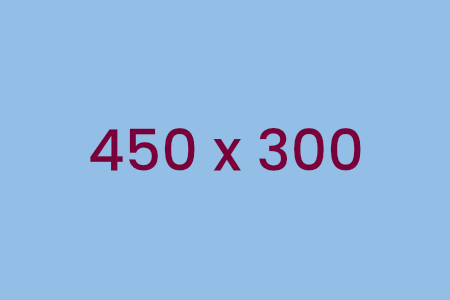 450 x 300px sample image