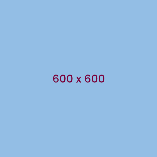 600 x 600px sample image